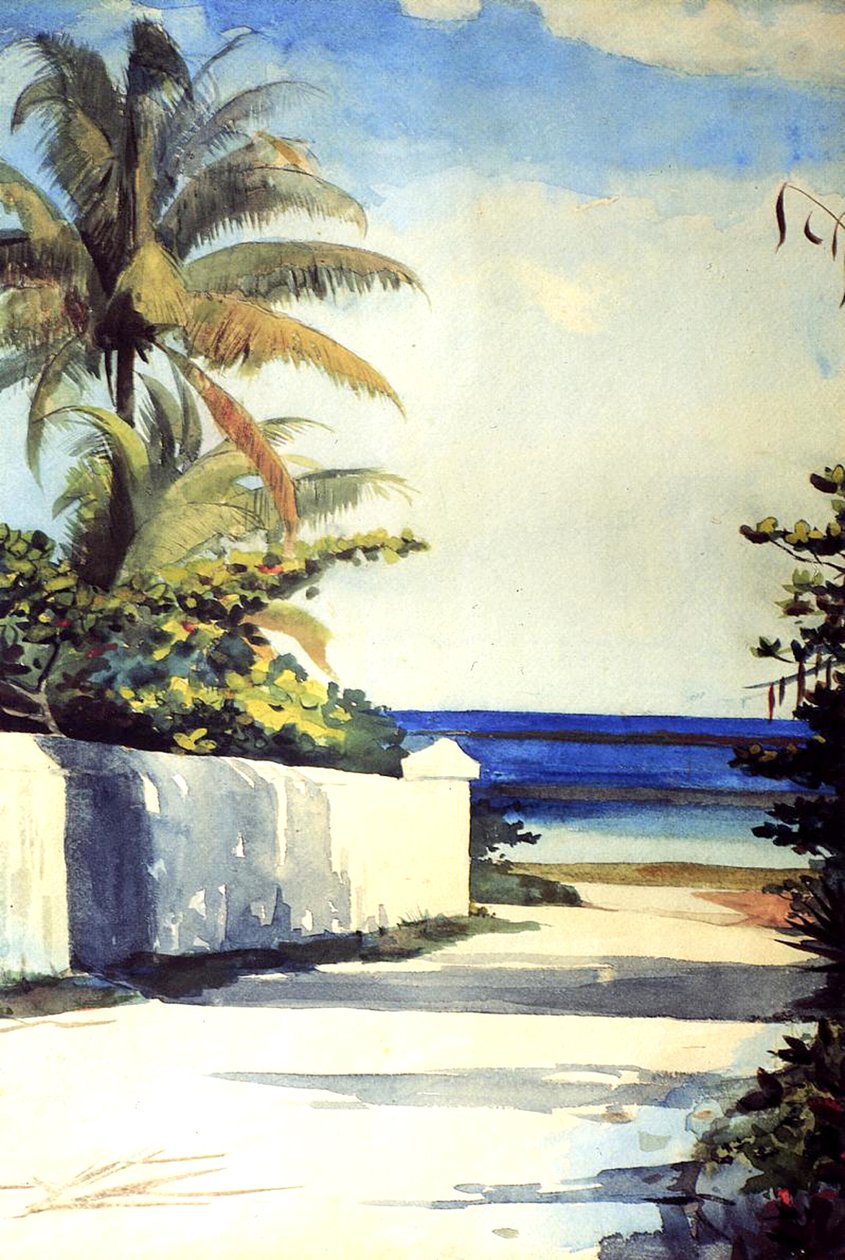 Straße in Nassau, 1898-99 von Winslow Homer