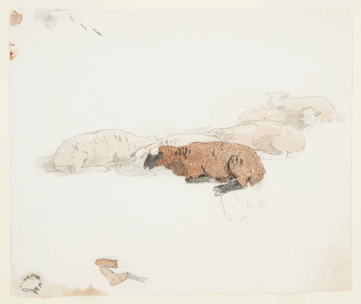 Ruhende Schafe von Winslow Homer