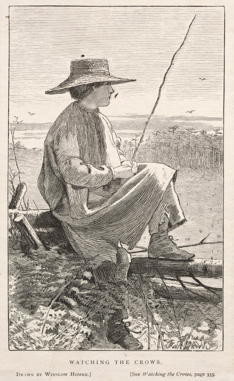 Die Krähen beobachten von Winslow Homer