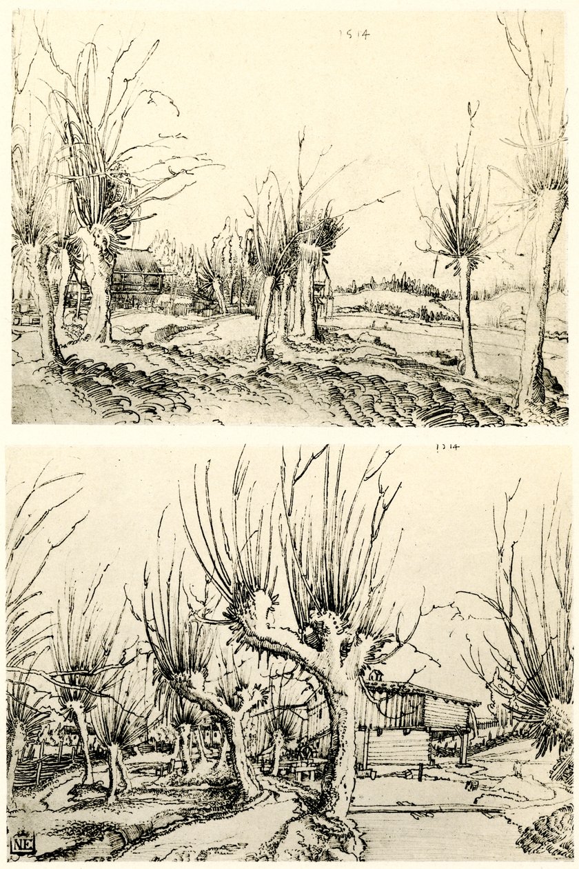 Landschaften mit Weidenbäumen von Wolf Huber