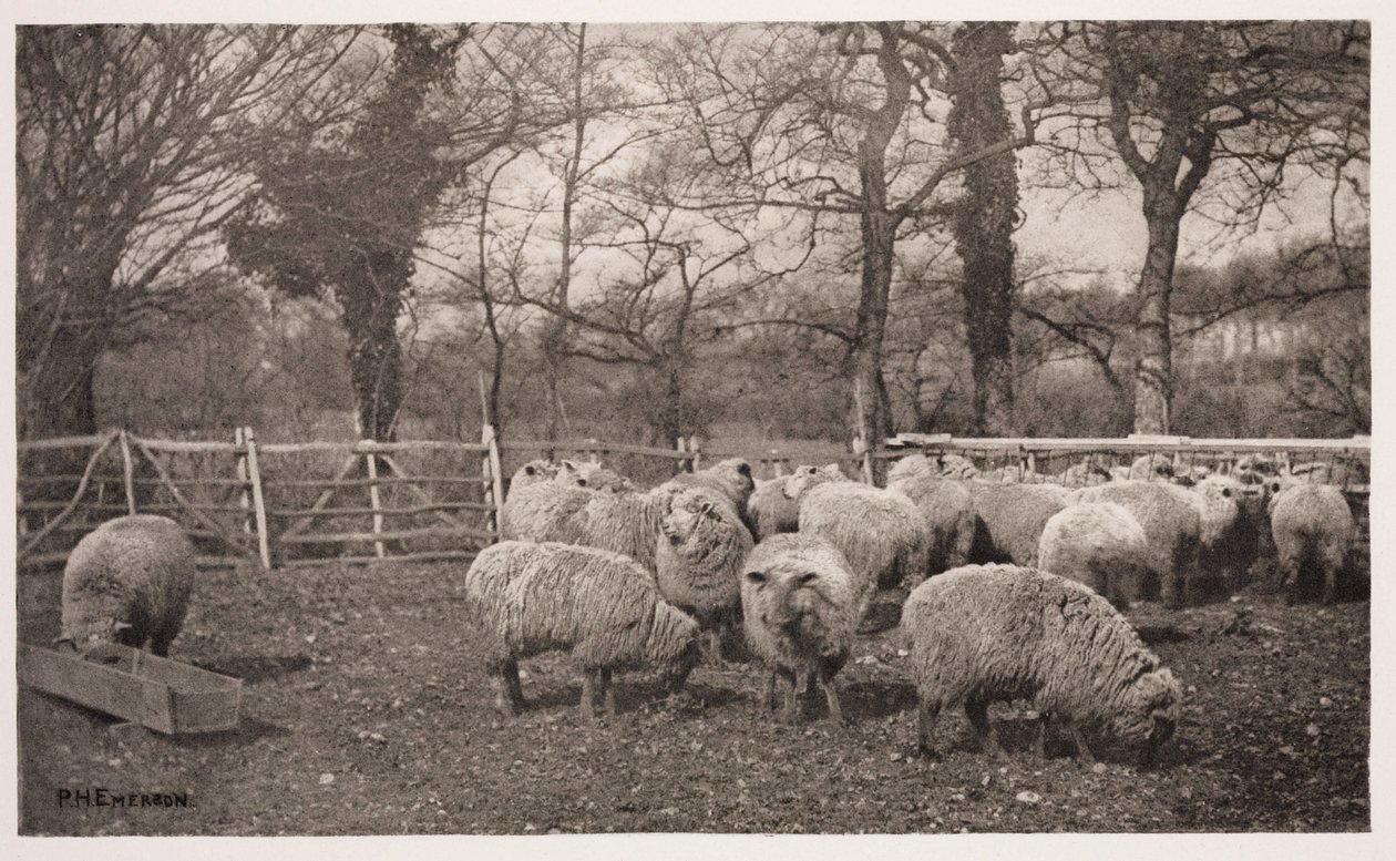 Ein herbstliches Pastorale von Frederick (attr. to) Barnard