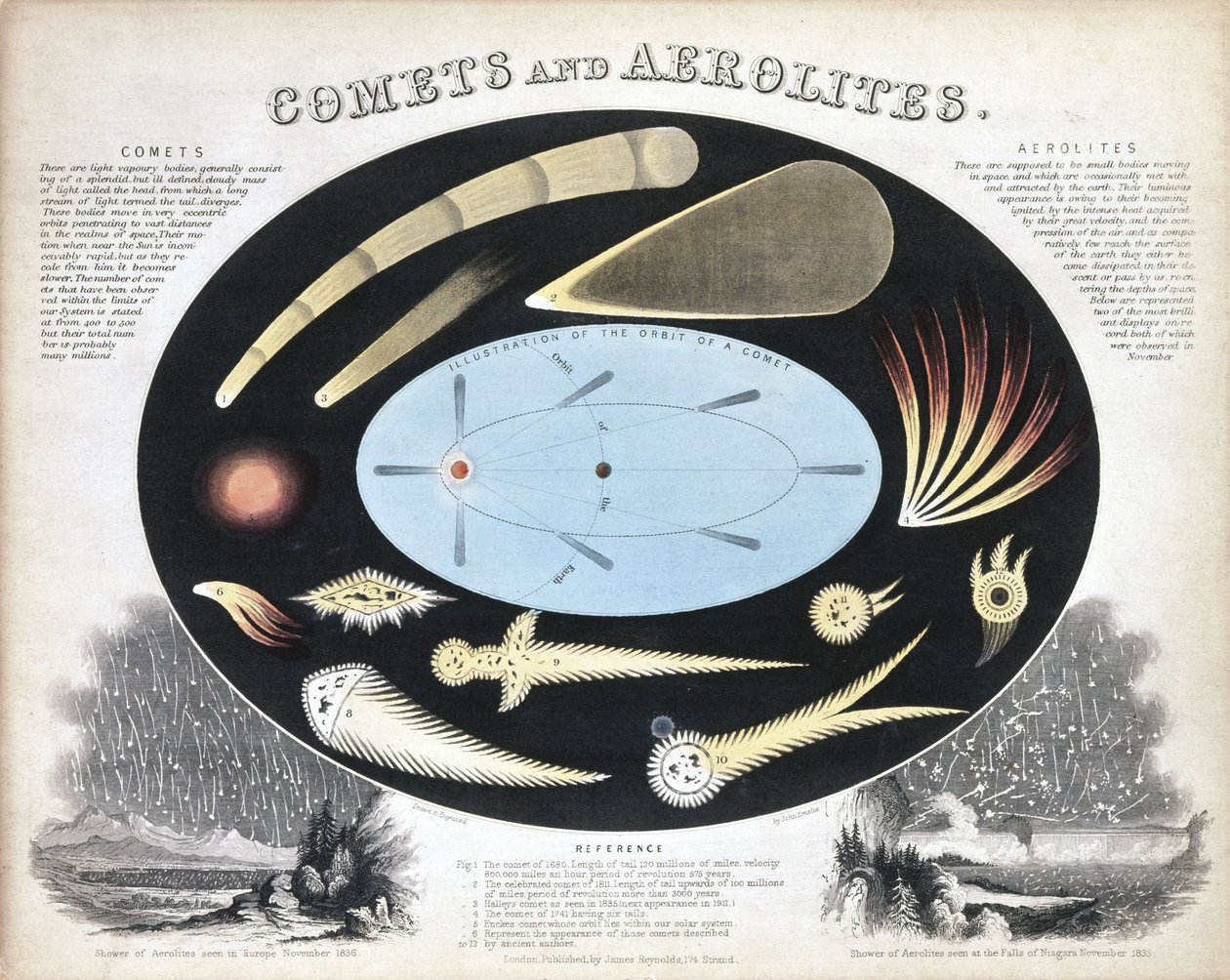 Kometen und Aeroliten (Meteore) von Frederick (attr. to) Barnard