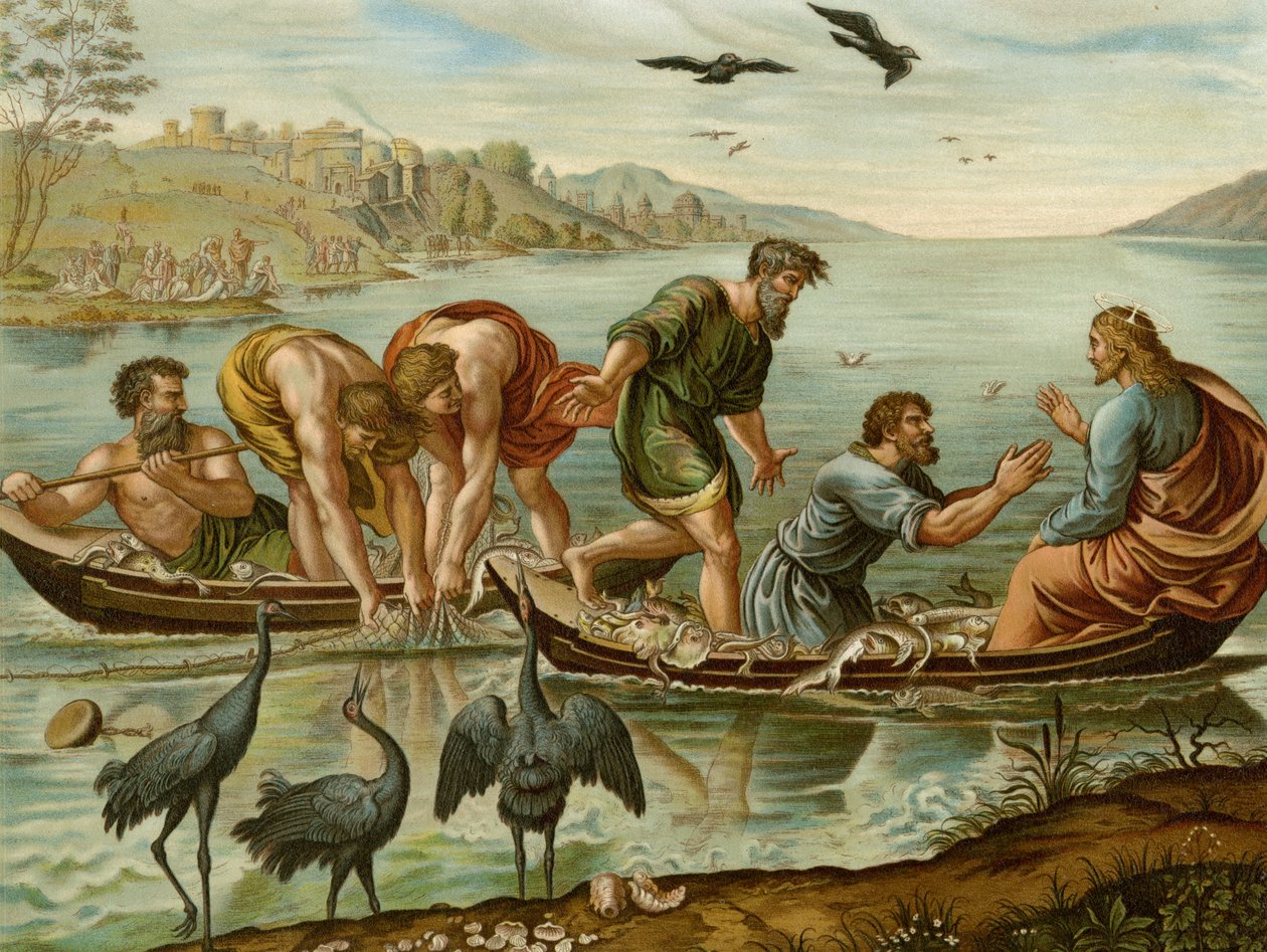 Der wunderbare Fischfang von after Raphael