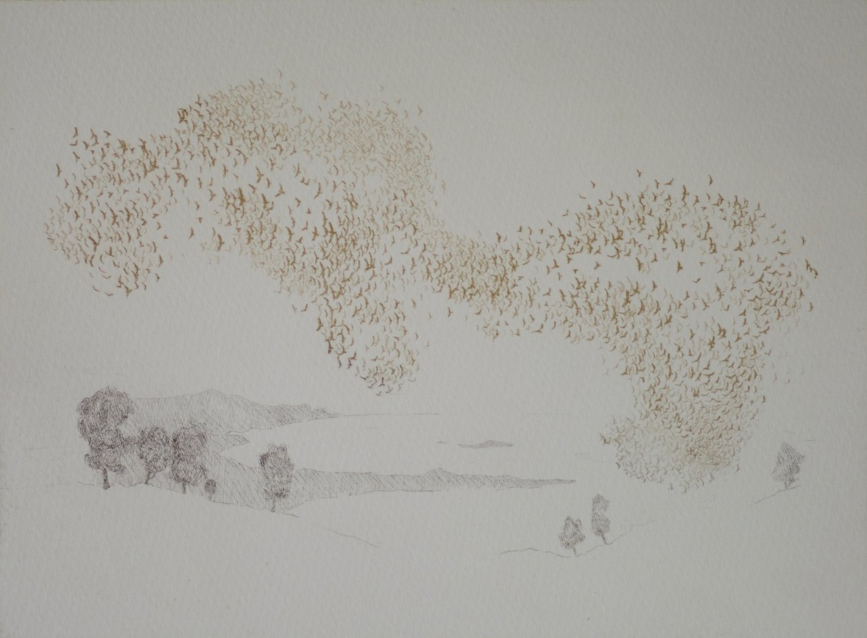 Sonnenvögel von angus hampel