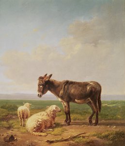 Esel und Schafe, 1849