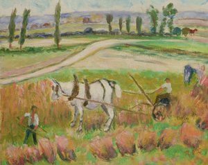 Ernte mit einem weißen Pferd