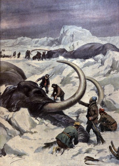 Mammuts am Nordpol von Achille Beltrame