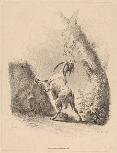 Ziege in einer Landschaft, 1805 von Adam von Bartsch