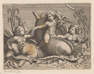 Drei Putti mit Delfinen von Adamo Scultori