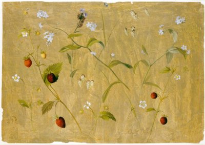 Erdbeeren und Vergissmeinnicht von Adolf Senff