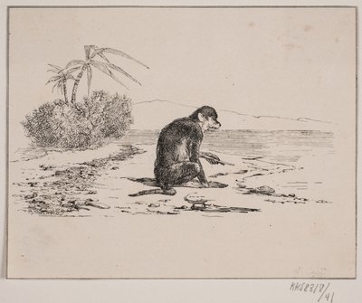 Affenkatze von Johan Adolph Kittendorff