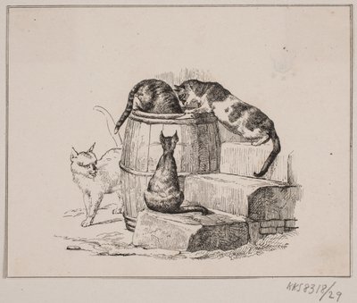 Die Katzen von Johan Adolph Kittendorff