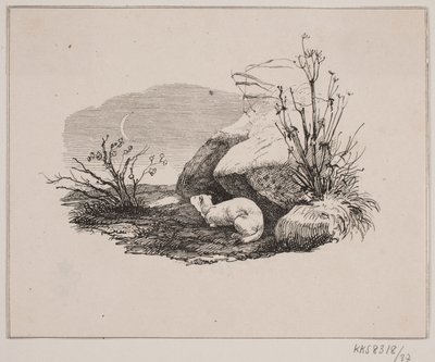 Die Katze von Johan Adolph Kittendorff