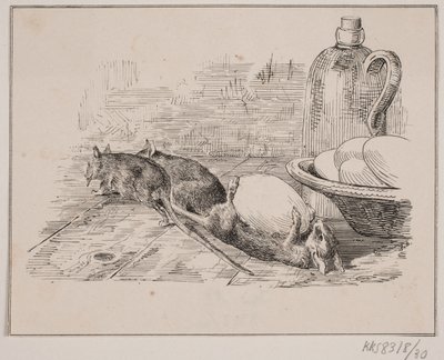 Die Ratten von Johan Adolph Kittendorff