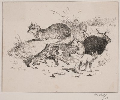 Der Fuchs von Johan Adolph Kittendorff