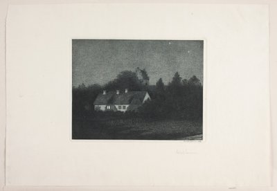 Mondscheinnacht im Dorf Borup von Adolph Larsen