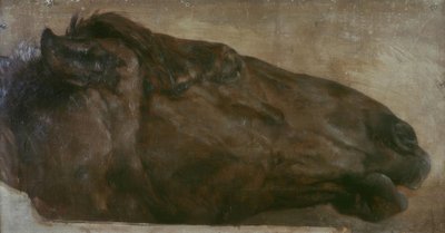 Pferdestudie. Kopf in Seitenansicht nach rechts von Adolph Menzel