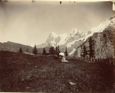 Landschaft, Schweiz von Adolphe Braun