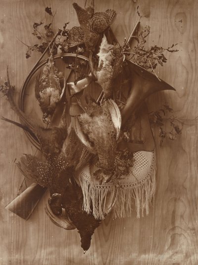 Fasan und Moorhuhn von Adolphe Braun