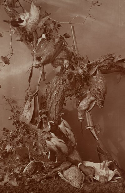 [Stillleben: Totes Wild] von Adolphe Braun