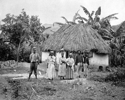 Negerhütte, Jamaika, ca. 1905 von Adolphe Duperly and Son