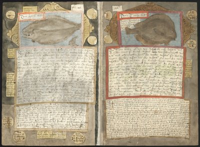 Adriaen Coenens Visboeck von Adriaen Coenen