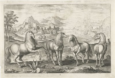 Pferde von Adriaen Collaert