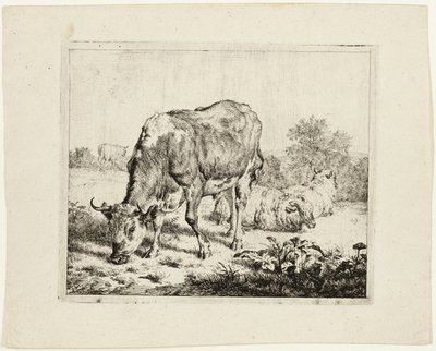 Weidender Stier und drei Schafe von Adriaen van de Velde