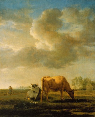 Kühe auf einer Wiese von Adriaen van de Velde