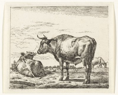 Stehender Stier von Adriaen van de Velde