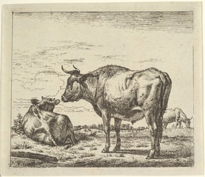 Stehender Stier, aus Verschiedene Tiere von Adriaen van de Velde