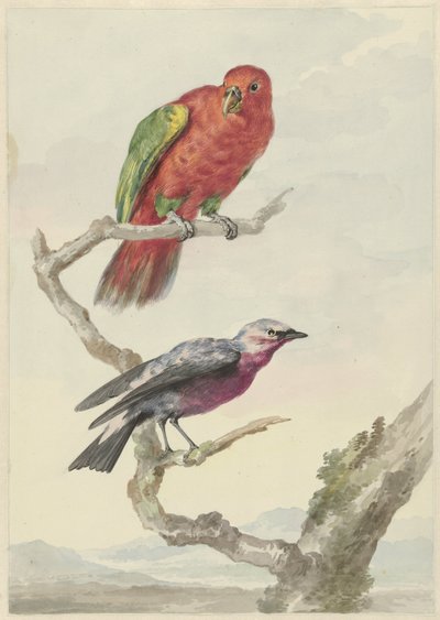 Zwei Vögel, darunter ein rot-grüner Papagei von Aert Schouman