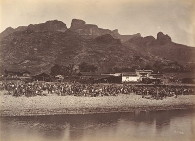 Entenmarkt, ca. 1869 von Afong Lai