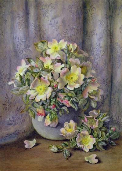 Stillleben mit Rosen von Agnes Louise Holding