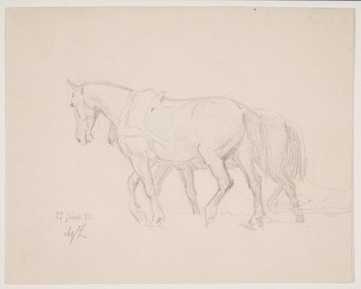 Zu Pferd von Agnes Lunn