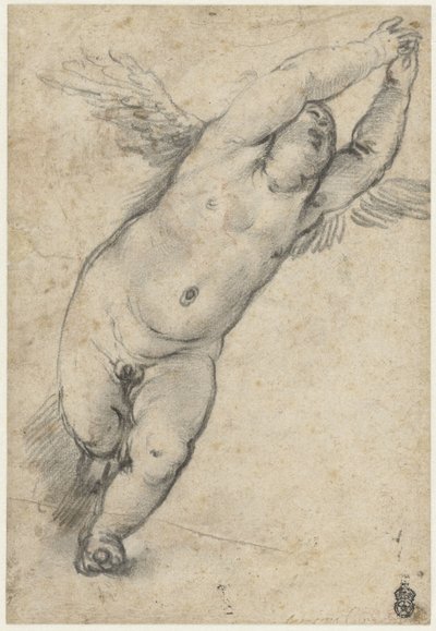 Fliegender Putto mit erhobenen Armen von Agostino Carracci (attributed to)