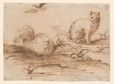Eine Katze und eine brütende Henne von Agostino Carracci