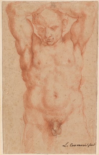 Männlicher Akt von Agostino Carracci