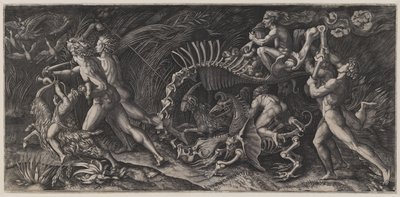 Das Aas ("Lo Stregozzo") von Agostino Veneziano