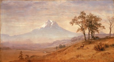 Mount Hood, 1863 von Albert Bierstadt