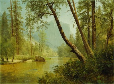 Sonniger Wald von Albert Bierstadt