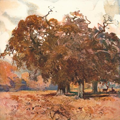 Landschaft, um 1904 von Albert Henry Fullwood