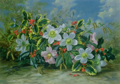Weihnachtsrosen und Stechpalmen von Albert Williams