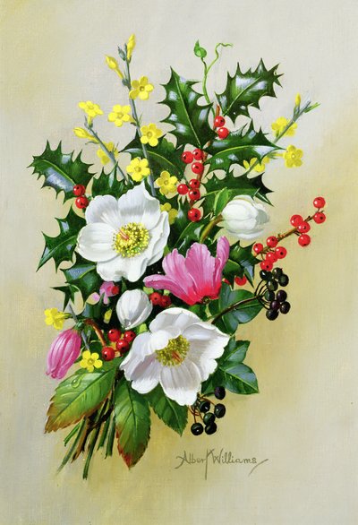 Zweig von Hundsrose, Stechpalme, Mistel und Rittersporn von Albert Williams