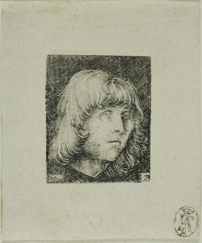 Kopf eines jungen Mannes von Albrecht Altdorfer