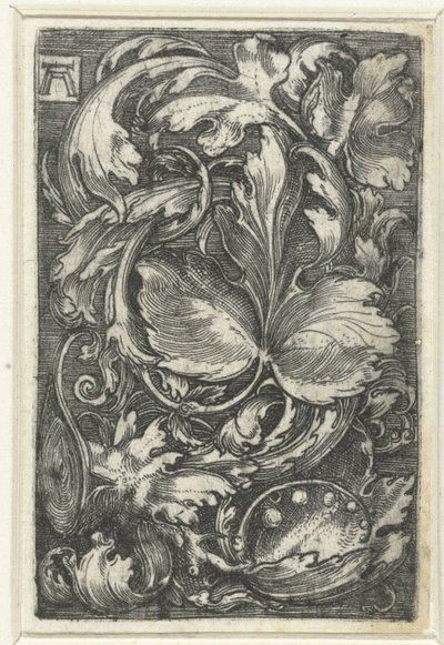 Ornament mit Blattwerk von Albrecht Altdorfer