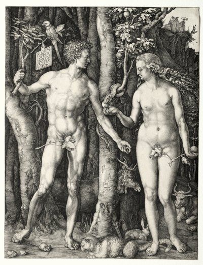 Adam und Eva von Albrecht Dürer
