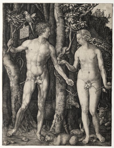 Adam und Eva von Albrecht Dürer