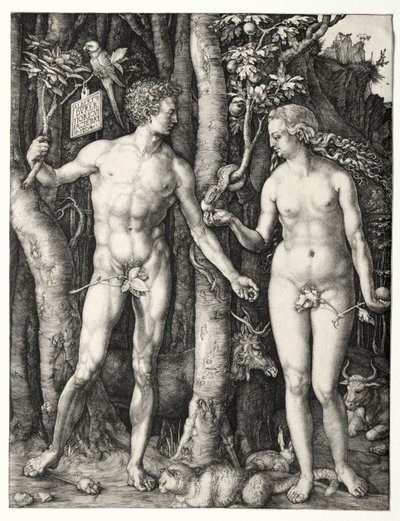 Adam und Eva, 1504 von Albrecht Dürer