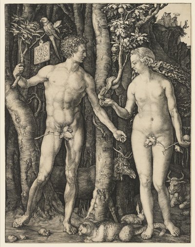 Adam und Eva, 1504 von Albrecht Dürer